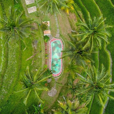 Pesona Bali Ecolodge By Agata Jatiluwih Luaran gambar