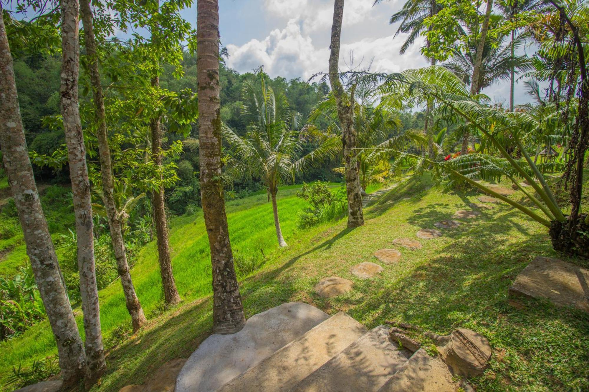 Pesona Bali Ecolodge By Agata Jatiluwih Luaran gambar